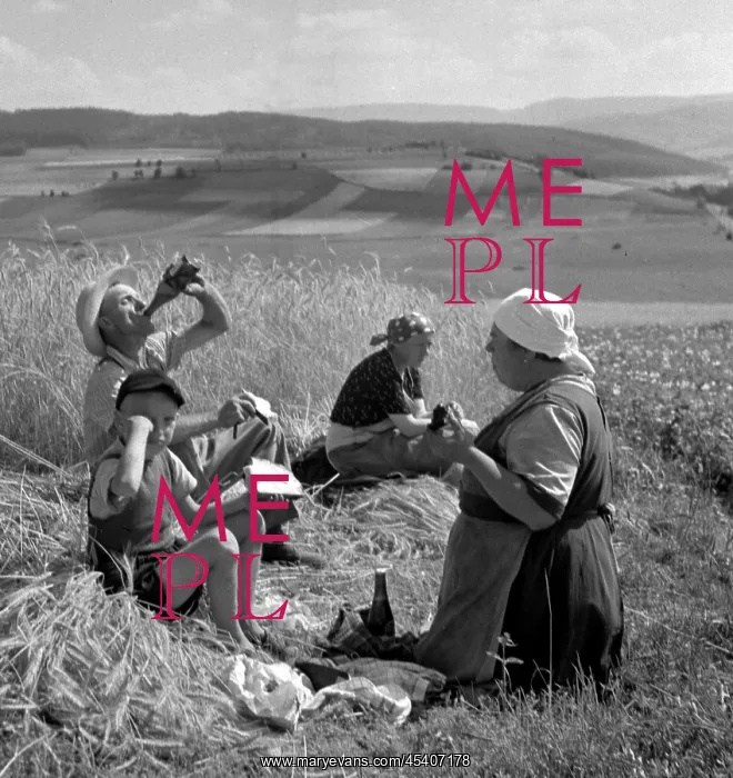 : Sumava - harvest : Sumava - harvest