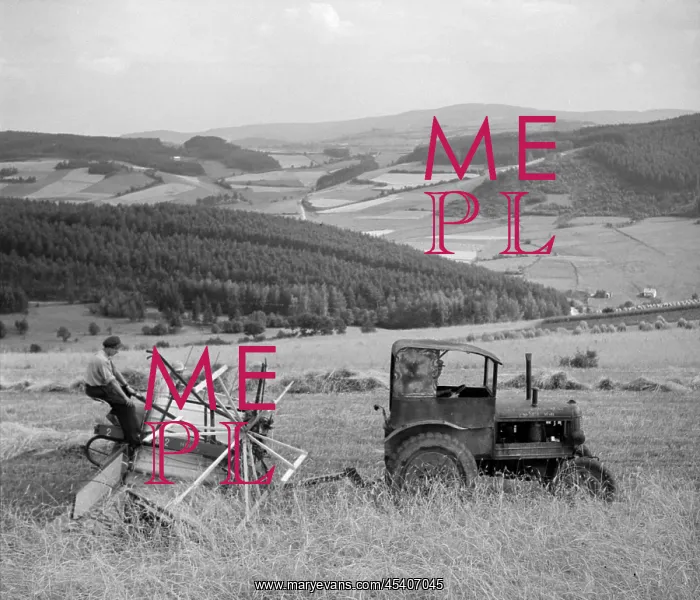 : Sumava - wheat harvest : Sumava - wheat harvest