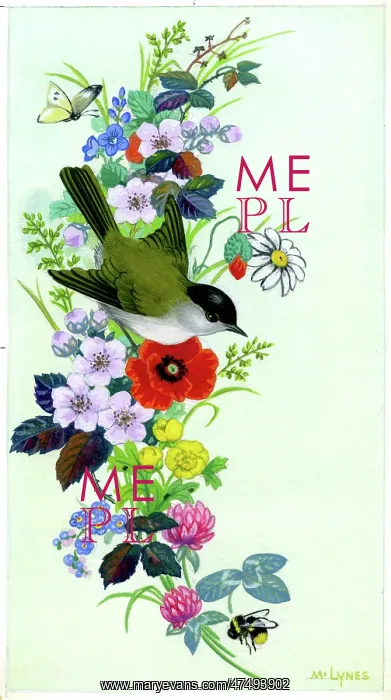 : Sumer wild flowers with bird, butterfly and bee : Sumer wild flowers with bird, butterfly and bee