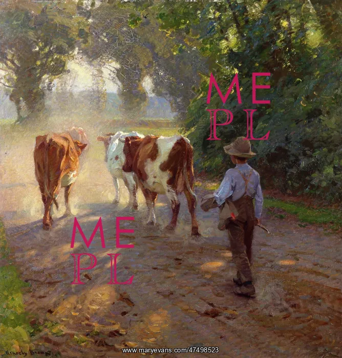 : Full Summer ' boy with cows : Full Summer ' boy with cows