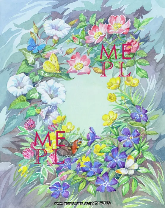 : Summer Flower border with butterflies : Summer Flower border with butterflies