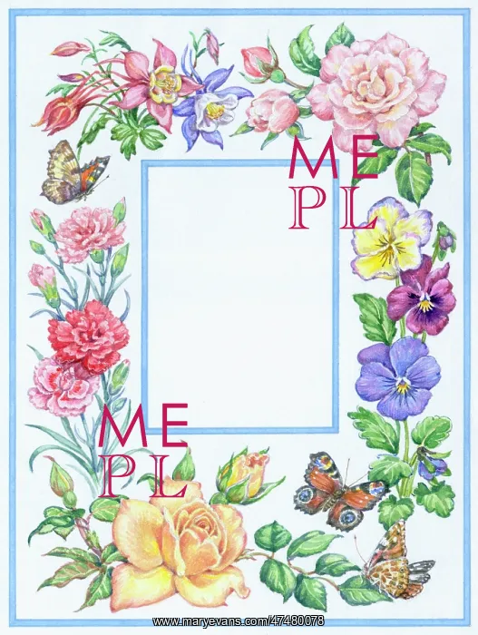 : Summer Flower Border - with Butterflies : Summer Flower Border - with Butterflies