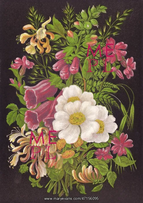  : SUMMER FLOWERS 1880