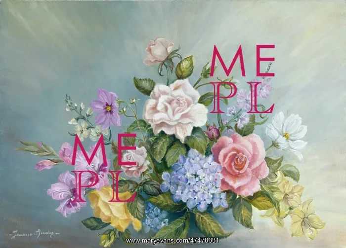 : Summer Flowers From the Garden : Summer Flowers From the Garden