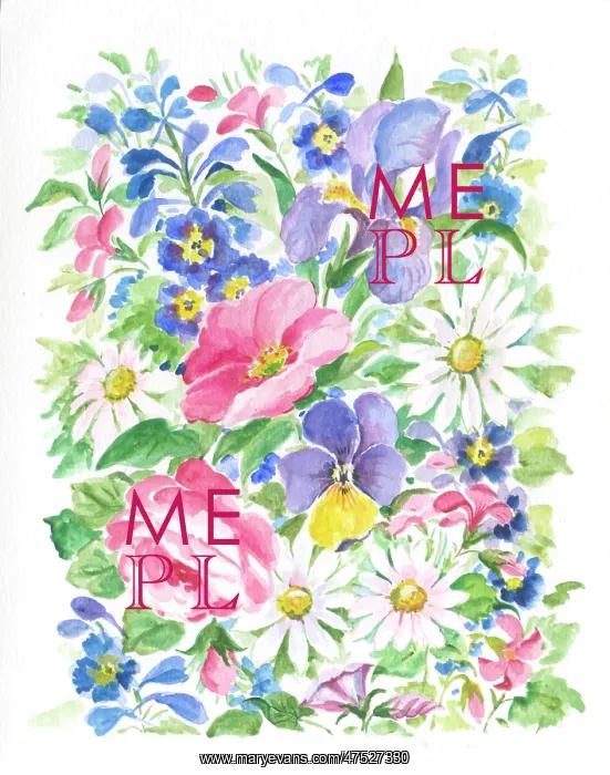 : Summer Flowers - iris, pansy, cornflowers etc : Summer Flowers - iris, pansy, cornflowers etc