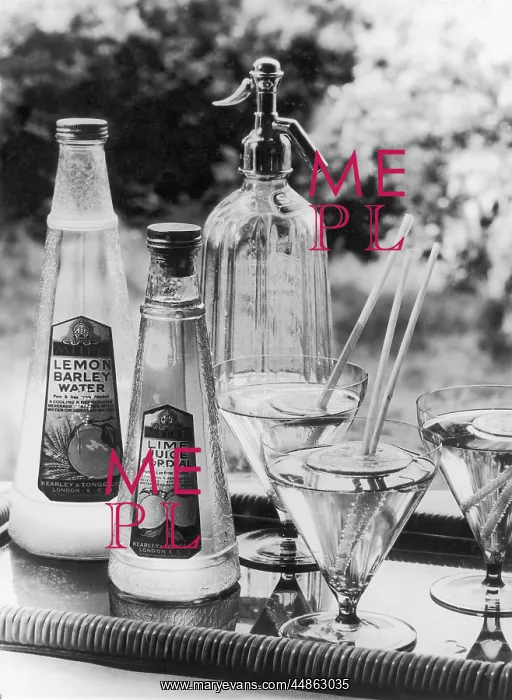 : SUMMER FRUIT DRINKS : SUMMER FRUIT DRINKS