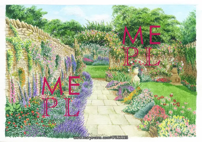 : Summer Garden with Rose Arch : Summer Garden with Rose Arch