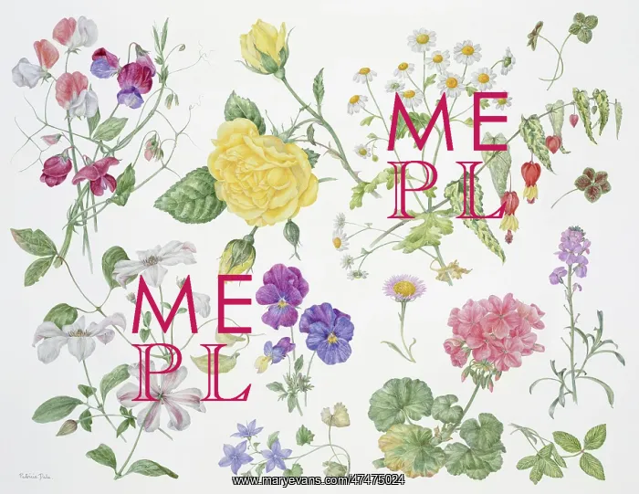  : Summer II ? flower design