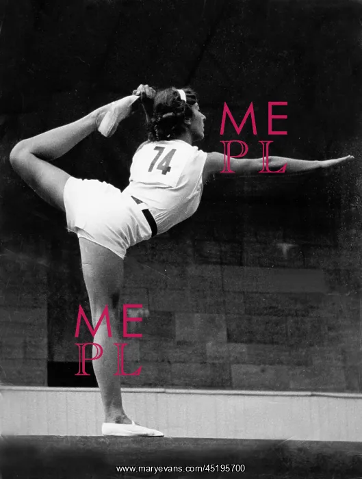 : Summer Olympics 1936 : Summer Olympics 1936