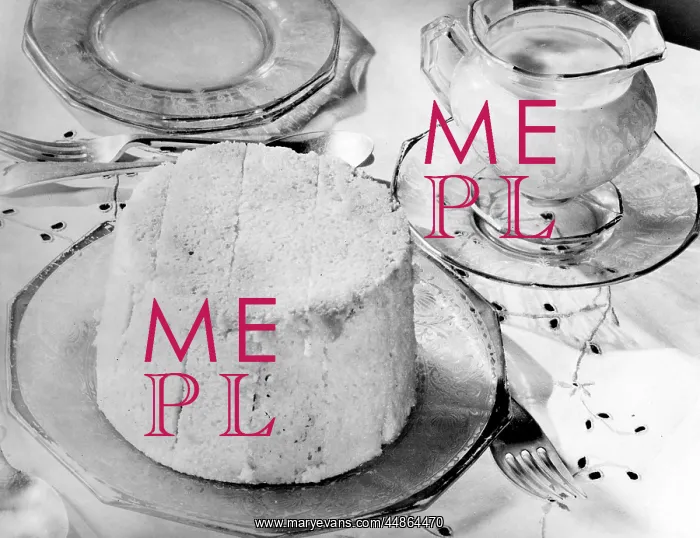 : SUMMER PUDDING : SUMMER PUDDING