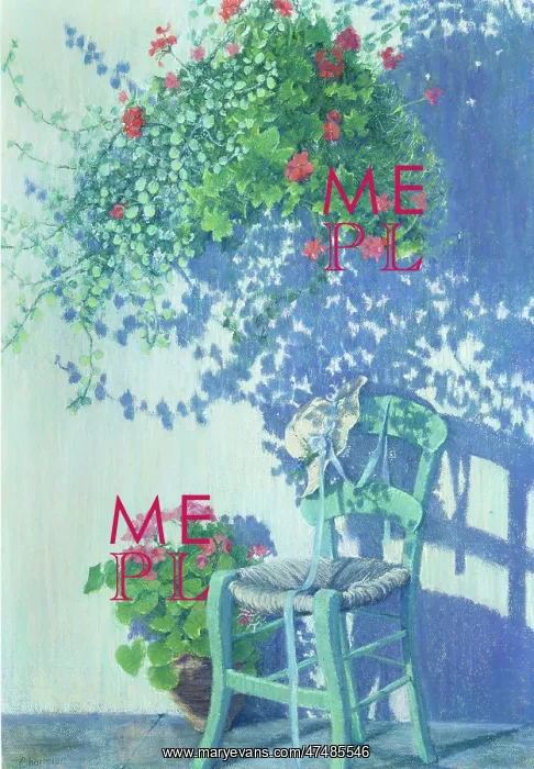 : Summer Shadows ' hanging basket & chair : Summer Shadows ' hanging basket & chair