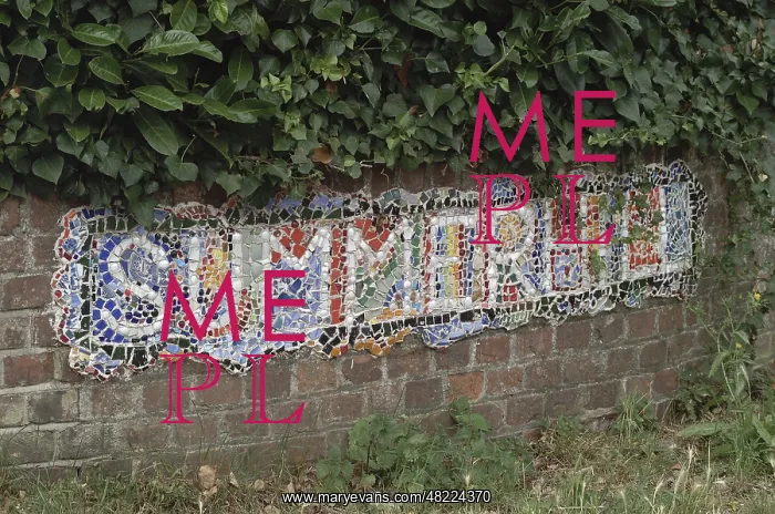 : Summerhill School in Leiston : Summerhill School in Leiston