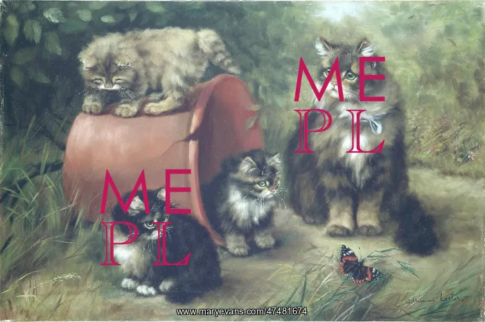 : A Summer's Afternoon ' a cat and kittens : A Summer's Afternoon ' a cat and kittens