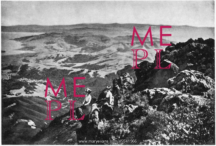 : Summit - Mt. Tamalpais - Landscape : Summit - Mt. Tamalpais - Landscape