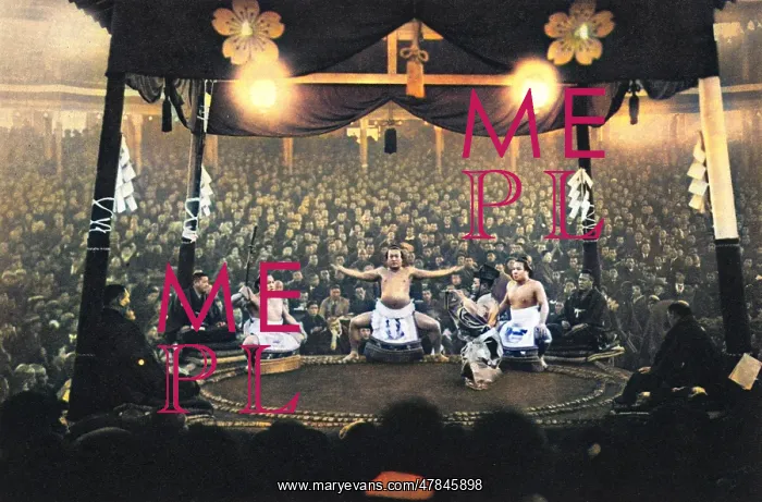 : A Sumo contest : A Sumo contest