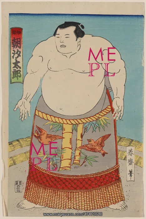 : The sumo wrestler Asashio Taro : The sumo wrestler Asashio Taro