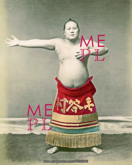  : Sumo Wrestler, Japan