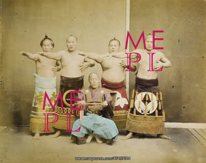  : Sumo wrestlers