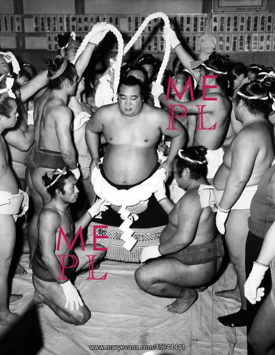 : Sumo Wrestlers in Japan. ca 1950s..? : Sumo Wrestlers in Japan. ca 1950s..?