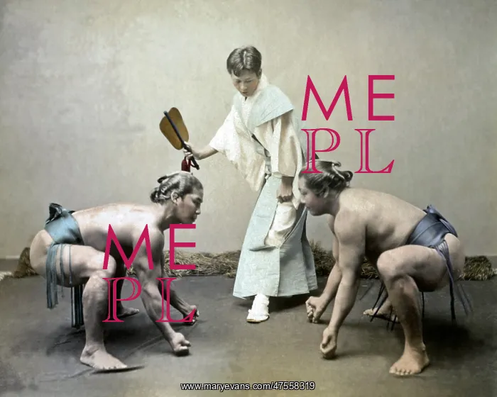 : Sumo wrestlers and referee, Japan : Sumo wrestlers and referee, Japan