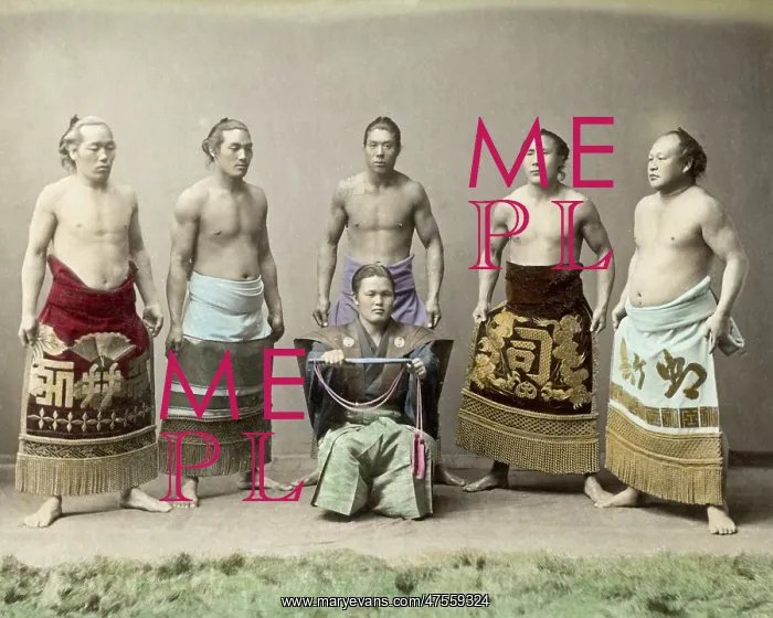  : Sumo wrestlers and referee, Japan