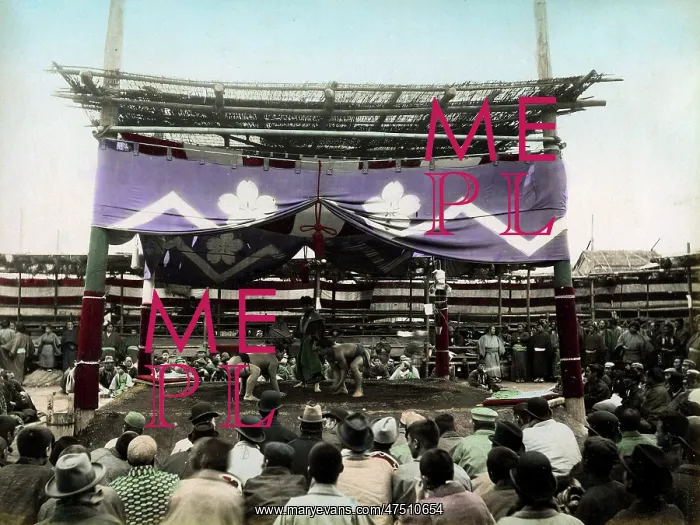  : Sumo wrestling
