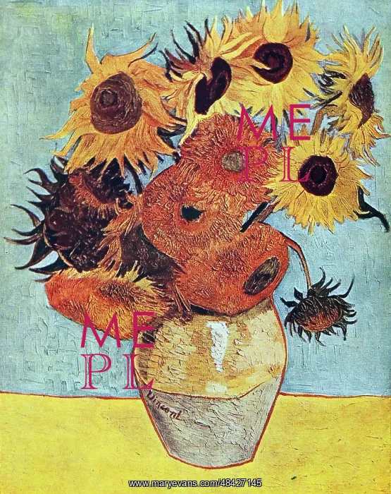 : Sun-Flowers : Sun-Flowers