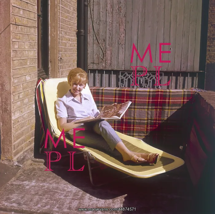 : SUN LOUNGER : SUN LOUNGER