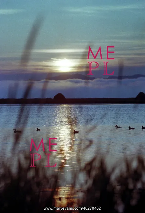 : Sun rise, 1978 : Sun rise, 1978