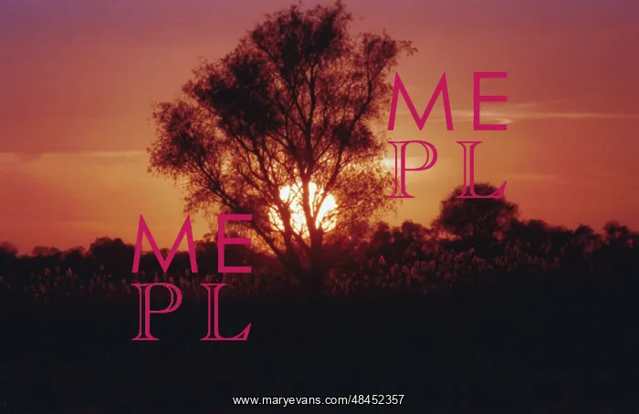 : Sun Setting photo art work, 1991 : Sun Setting photo art work, 1991