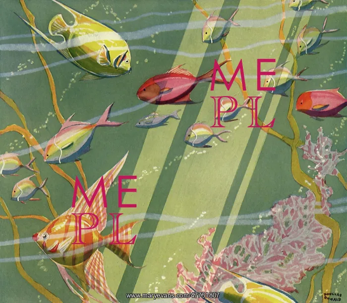 : Sunbeams Penetrate Water filled with Fish : Sunbeams Penetrate Water filled with Fish