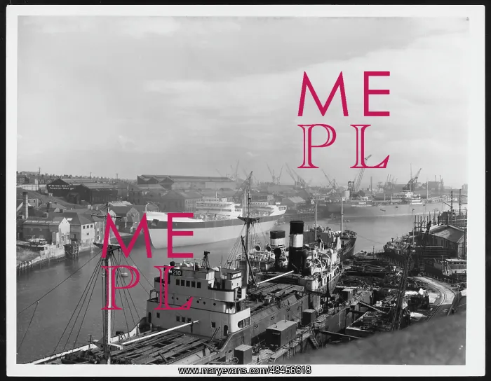 : SUNDERLAND DOCKS : SUNDERLAND DOCKS