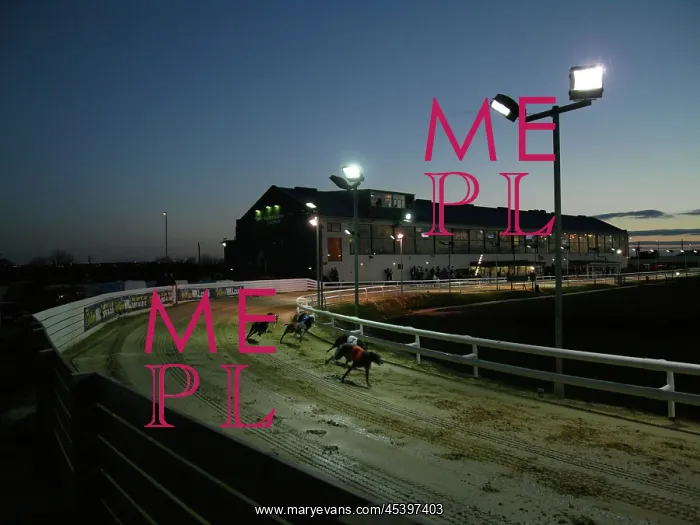 : SUNDERLAND GREYHOUND STADIUM, SOUTH TYNESIDE : SUNDERLAND GREYHOUND STADIUM, SOUTH TYNESIDE