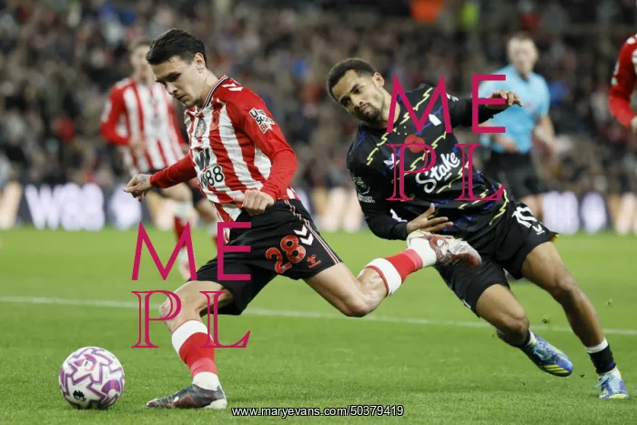 : Sunderland v Everton - Premier League : Sunderland v Everton - Premier League