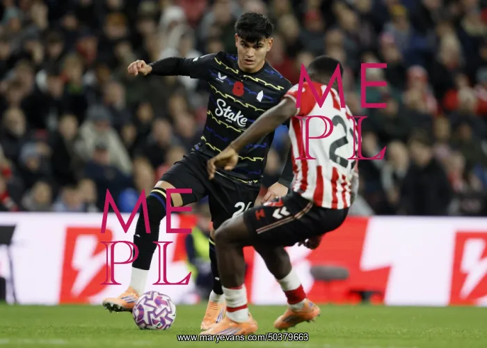 : Sunderland v Everton - Premier League : Sunderland v Everton - Premier League