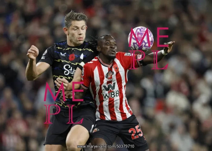 : Sunderland v Everton - Premier League : Sunderland v Everton - Premier League