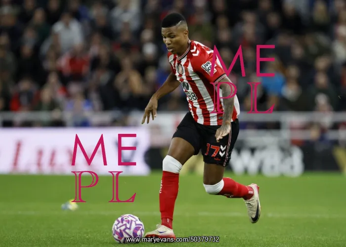 : Sunderland v Everton - Premier League : Sunderland v Everton - Premier League
