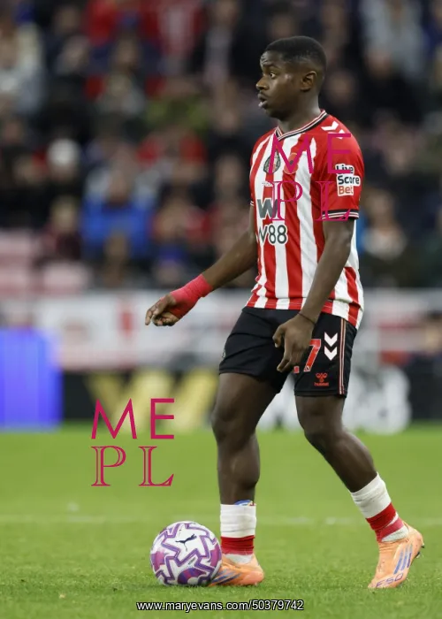 : Sunderland v Everton - Premier League : Sunderland v Everton - Premier League