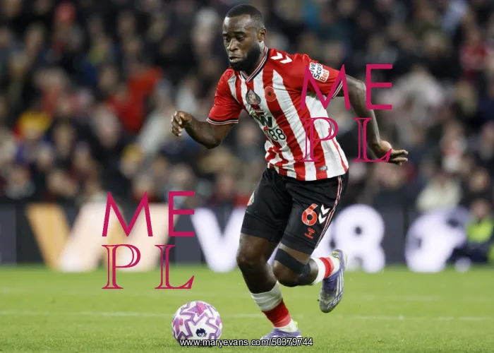 : Sunderland v Everton - Premier League : Sunderland v Everton - Premier League