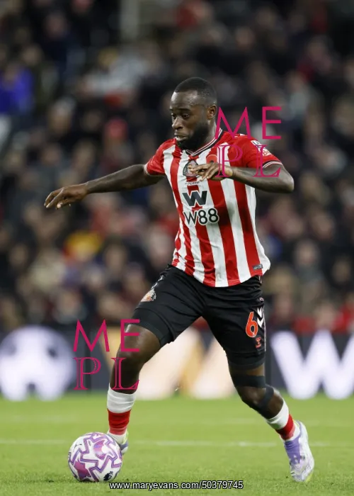 : Sunderland v Everton - Premier League : Sunderland v Everton - Premier League