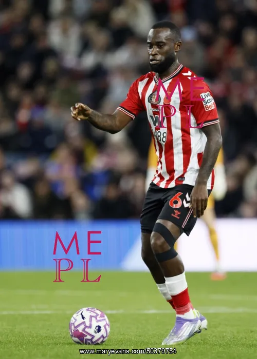 : Sunderland v Everton - Premier League : Sunderland v Everton - Premier League