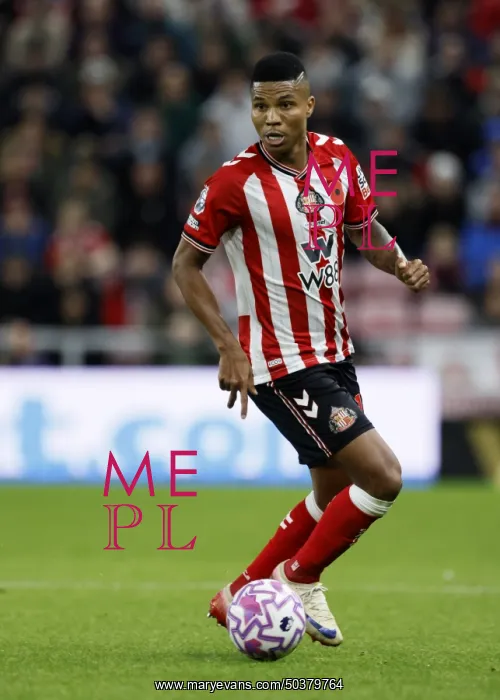 : Sunderland v Everton - Premier League : Sunderland v Everton - Premier League