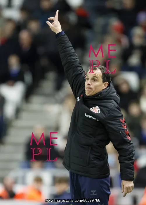 : Sunderland v Everton - Premier League : Sunderland v Everton - Premier League