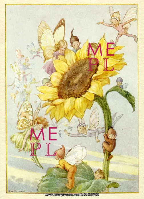  : Sunflower with fairies