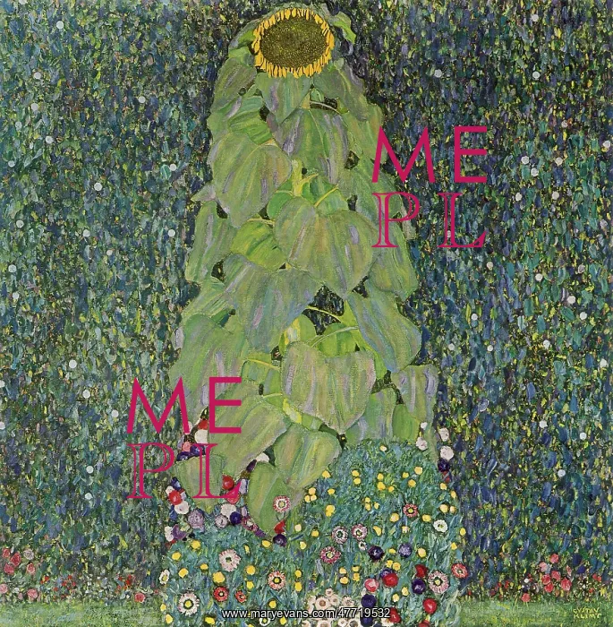 : The Sunflower, by Klimt : The Sunflower, by Klimt