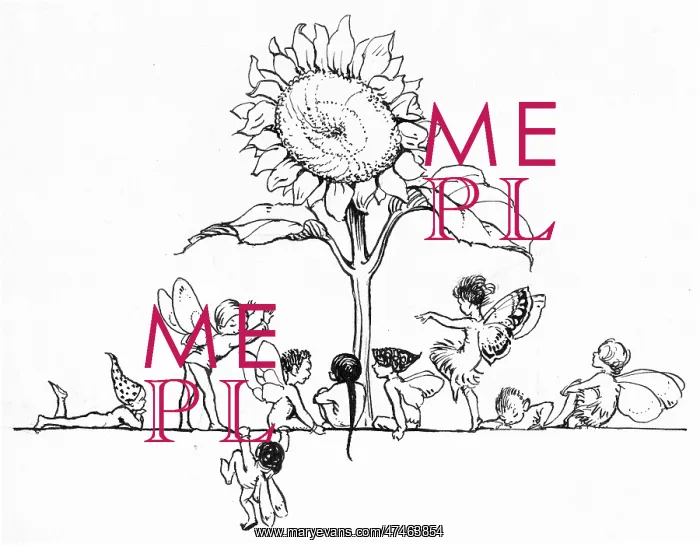 : Sunflower and lots of fairies : Sunflower and lots of fairies