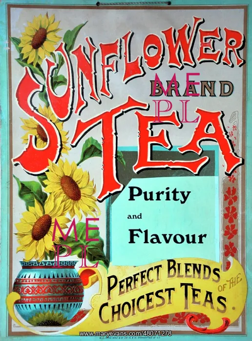 : Sunflower Tea : Sunflower Tea