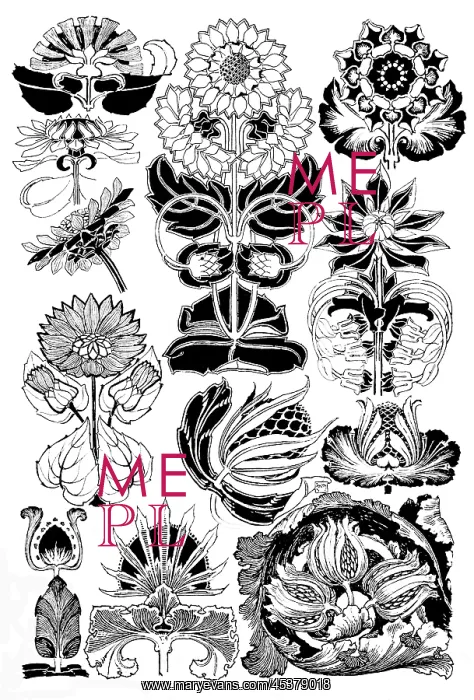 : Sunflower, Teasel : Sunflower, Teasel