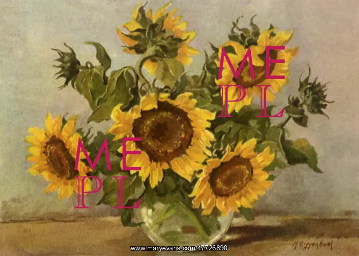 : Sunflowers in a Bowl : Sunflowers in a Bowl