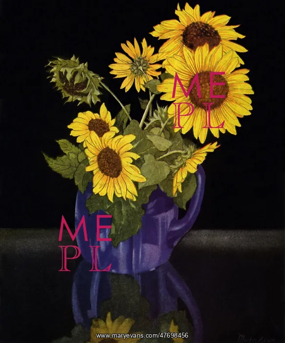 : Sunflowers in Jug : Sunflowers in Jug